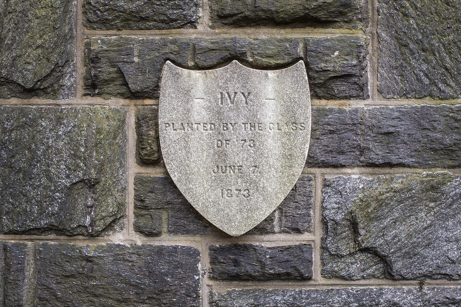 penn's first ivy stone 1873